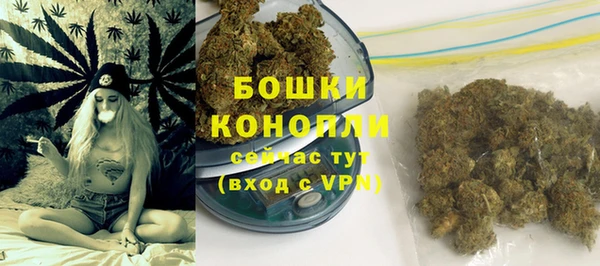 дживик Бронницы