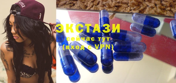 дживик Бронницы