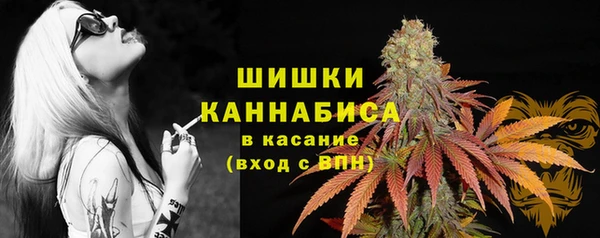 дживик Бронницы