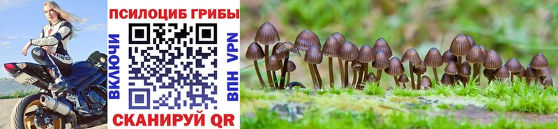 blacksprut онион  Мурино  Галлюциногенные грибы мицелий 